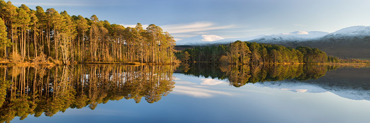 Loch Mallachie & Caledonian Pine Forest, Abernethy, Cairngorms National Park, Scotland. November 2008. 
